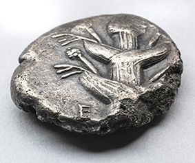 Silphium plant on silver tetradrachm from Cyrenaica, ca. 400 BCE, NG.1993.4.71. Collection of Nickle Galleries, University of Calgary. Photograph: Dave Brown.