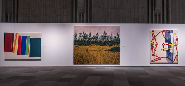 Recall: Recent Acquisitions and their New Context (installation view, Dave Brown LCR Photo Services). William Perehudoff, William MacDonnell, David Urban.