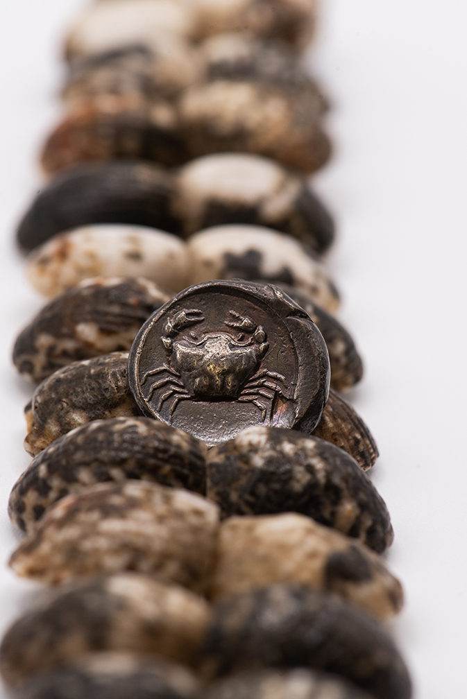  Shell bracelet and an ancient Greek crab coin from the Collection of Nickle Galleries. Photo: Brittany DeMone.