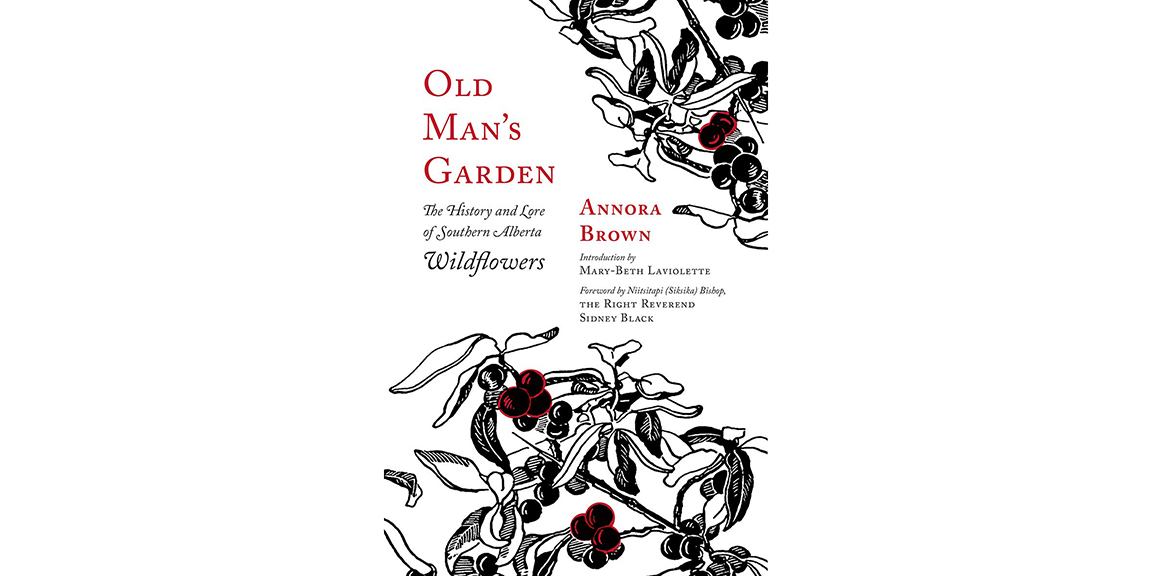 Mary Beth Laviolette: Annora Brown and The Old Man’s Garden