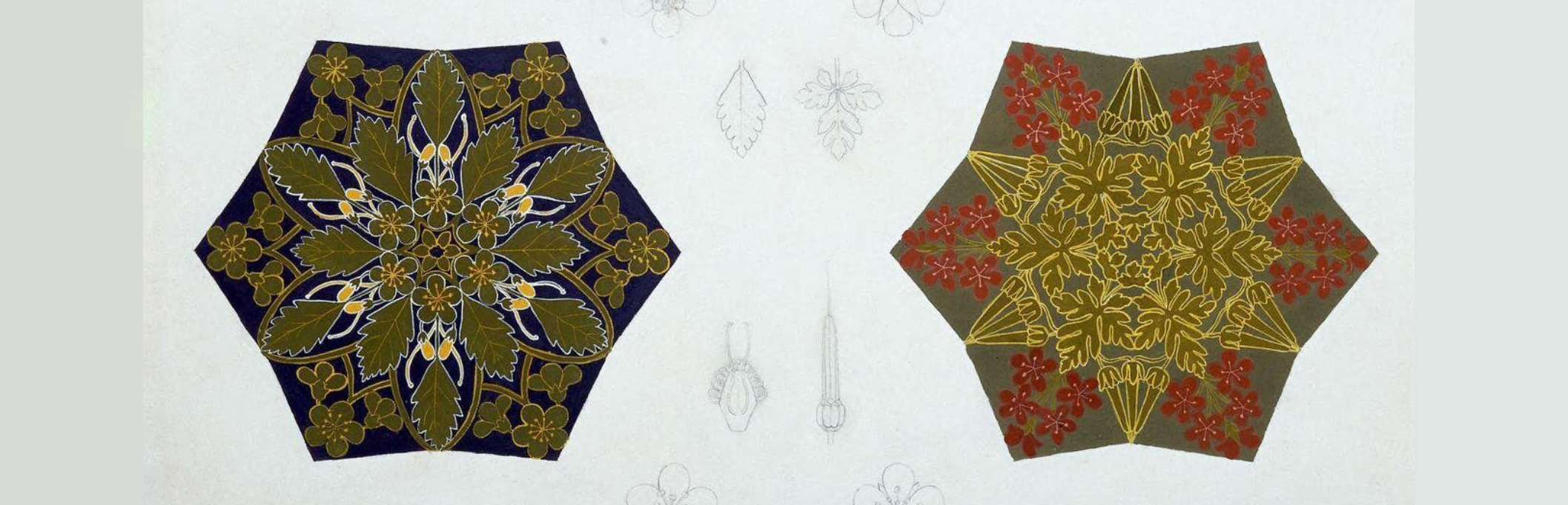 Sarah Alford:  Multiple Affinities – Art Botany and Design Reform, 1835-1870