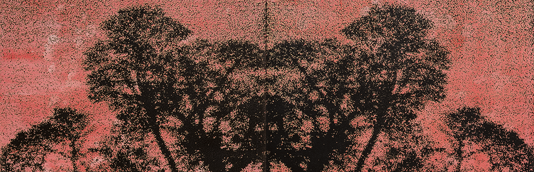 Image of UPCOMING: Knowing Trees – Selections from Nickle Galleries’ Collections