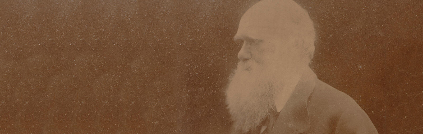 Image of UPCOMING – All Netted Together: Charles Darwin, Alfred Russel Wallace, and the Social Life of a Theory